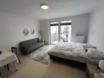 Pronájem bytu 1+kk, Olomouc, Eduarda Hamburgera, 31 m2