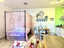 Pronájem bytu 1+kk, Hustopeče, Brněnská, 39 m2