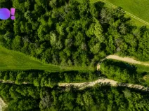 Prodej pozemku pro bydlení, Zástřizly, 494 m2
