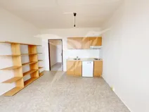 Pronájem bytu 1+kk, Plzeň, Kreuzmannova, 25 m2