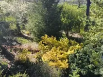 Prodej pozemku pro bydlení, Mnichovo Hradiště, Nad Skalou, 962 m2