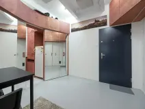 Pronájem bytu 1+1, Praha - Žižkov, Baranova, 49 m2