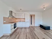 Pronájem bytu 1+kk, Brno, Spolková, 33 m2