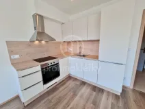 Pronájem bytu 1+kk, Brno, Spolková, 33 m2