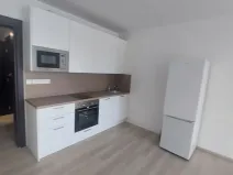 Pronájem bytu 1+kk, Olomouc, Třída Jiřího Pelikána, 35 m2