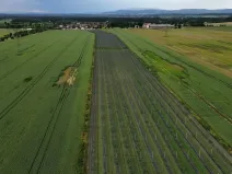 Prodej komerčního pozemku, Čejkovice, 32904 m2