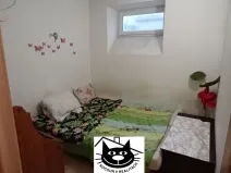 Pronájem bytu 2+1, Příbram - Příbram VII, Obránců míru, 48 m2
