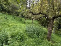 Prodej pozemku pro bydlení, Zlín - Příluky, Boněcko II, 893 m2