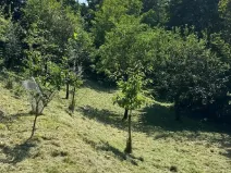 Prodej pozemku pro bydlení, Zlín - Příluky, Boněcko II, 893 m2
