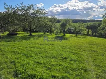 Pronájem zahrady, Dobřenice, 3673 m2