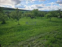 Pronájem zahrady, Dobřenice, 3673 m2