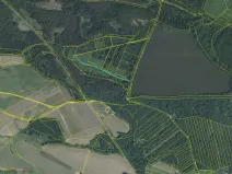 Prodej louky, Petříkov - Těšínov, 1557 m2