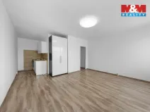 Prodej bytu 1+kk, Ústí nad Labem - Krásné Březno, Dr. Horákové, 31 m2