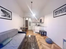 Pronájem bytu 1+kk, Praha - Josefov, Elišky Krásnohorské, 22 m2