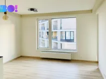 Pronájem bytu 2+kk, Ostrava, Důlní, 61 m2
