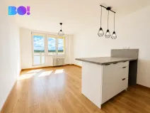 Pronájem bytu 1+kk, Ostrava, Výškovická, 27 m2