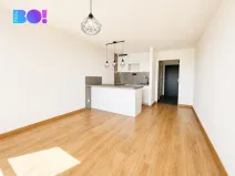 Pronájem bytu 1+kk, Ostrava, Výškovická, 27 m2