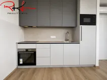 Pronájem bytu 1+kk, Mladá Boleslav, Nad Červenkou, 46 m2