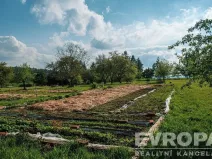 Prodej pozemku pro bydlení, Rataje nad Sázavou, 9302 m2