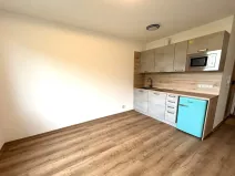Pronájem bytu 1+kk, Dolní Bělá, 20 m2
