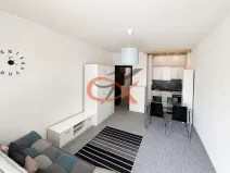 Pronájem bytu 1+kk, Rožnov pod Radhoštěm, Průkopnická, 28 m2
