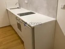 Pronájem bytu 1+kk, Praha, Perucká, 30 m2