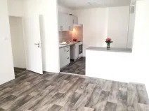Prodej bytu 2+kk, Ostrava - Moravská Ostrava, Zelená, 45 m2