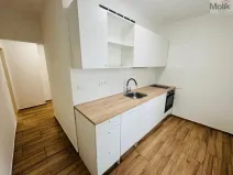 Pronájem bytu 2+1, Most, Maxe Švabinského, 53 m2