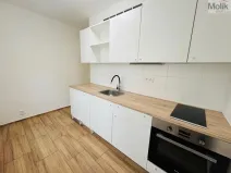 Pronájem bytu 2+1, Most, Maxe Švabinského, 53 m2