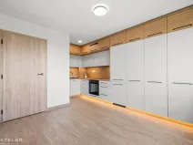 Prodej bytu 2+kk, Frýdek-Místek - Místek, Ostravská, 28 m2