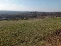 Prodej zahrady, Mikulov, Nová, 1043 m2