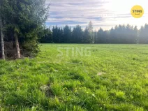 Prodej louky, Raškovice, 8800 m2