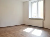 Pronájem bytu 1+1, Ostrava - Zábřeh, Březinova, 45 m2