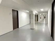 Pronájem kanceláře, Praha - Karlín, Thámova, 16 m2