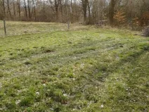 Prodej pozemku pro bydlení, Horní Slavkov, Ležnická, 1652 m2