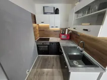 Prodej bytu 2+kk, Most, Františka Malíka, 40 m2
