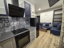 Pronájem bytu 1+kk, Brno, Palackého třída, 22 m2
