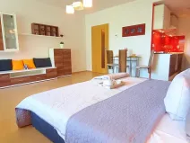 Pronájem bytu 1+kk, Brno, Šemberova, 51 m2