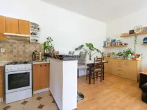 Prodej bytu 2+kk, Praha - Holešovice, Jankovcova, 44 m2