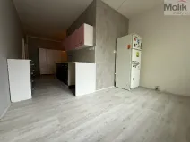 Prodej bytu 2+1, Jirkov, Hornická, 61 m2