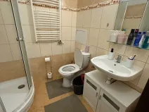 Pronájem bytu 1+kk, Liberec - Liberec II-Nové Město, Chrastavská, 38 m2