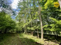 Prodej lesa, Městečko Trnávka - Pěčíkov, 16440 m2
