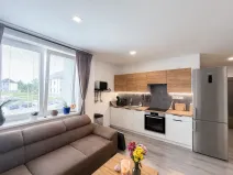 Prodej bytu 2+kk, Ostrava, Šenovská, 44 m2