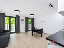 Pronájem bytu 1+kk, Praha, Olšanská, 39 m2