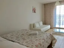 Pronájem bytu 1+kk, Praha - Žižkov, Olšanská, 40 m2