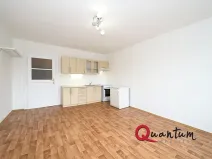 Pronájem bytu 1+kk, Praha - Vinohrady, Fričova, 31 m2