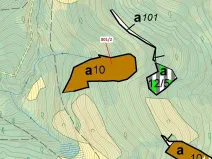 Dražba lesa, Zubrnice, 8765 m2