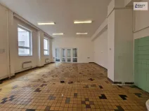 Pronájem komerční nemovitosti, Příbram - Příbram VI-Březové Hory, K Podlesí, 90 m2