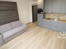 Pronájem bytu 1+kk, Brno - Trnitá, Placzkova, 26 m2