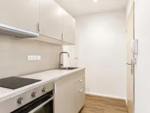 Pronájem bytu 1+kk, Kolín - Kolín II, Funkeho, 21 m2
